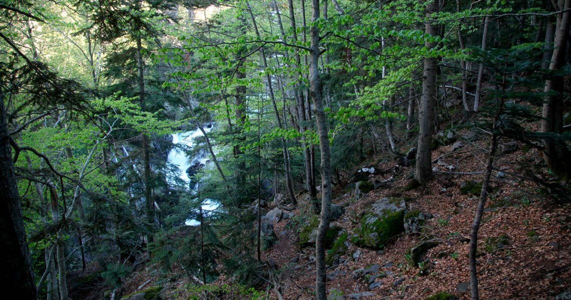 Sendero Botánico Gorgas de Alba