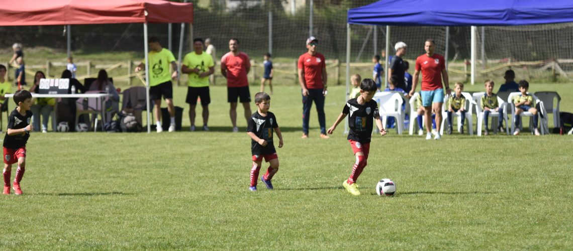 memorial nestor 2025